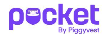 CBN Approves Mobile Money Licence for PocketApp in Nigeria, SiliconNigeria